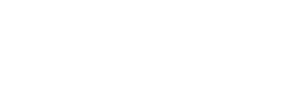Carer supporting an elderly person