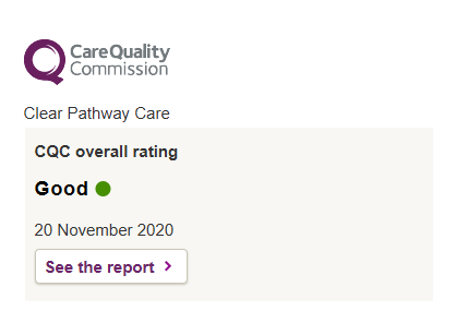 Carer supporting an elderly person